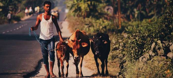 Safest countries travel visit travelseewrite covid19